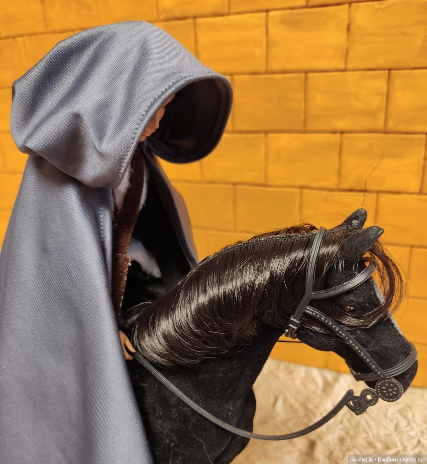 Лекарь. Глава 54. Долгий путь