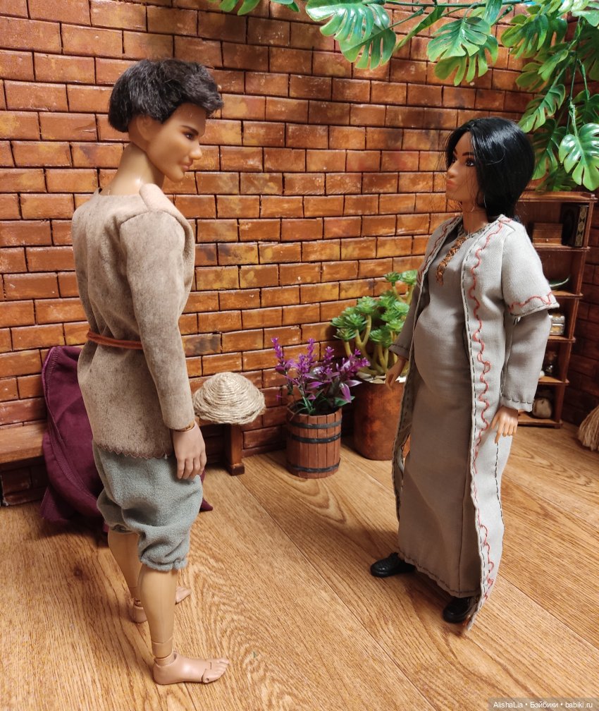 Лекарь. Глава 56. Дом родной