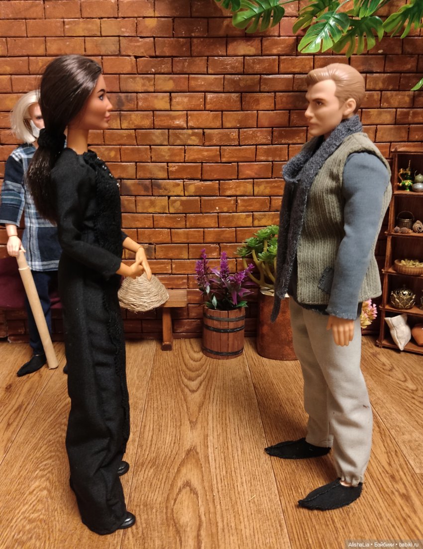 Лекарь. Глава 56. Дом родной