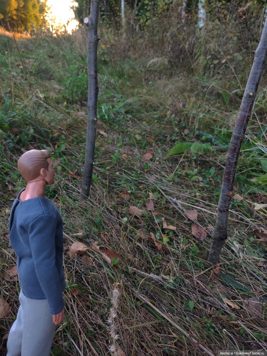 Лекарь. Глава 60. Казнить нельзя помиловать (фото 10)