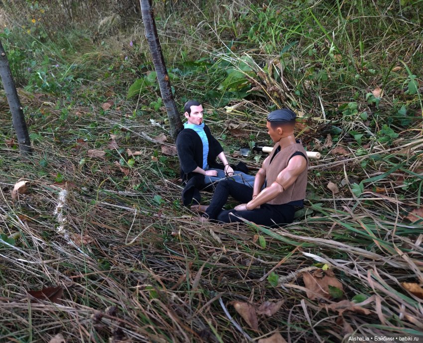 Лекарь. Глава 60. Казнить нельзя помиловать (фото 9)