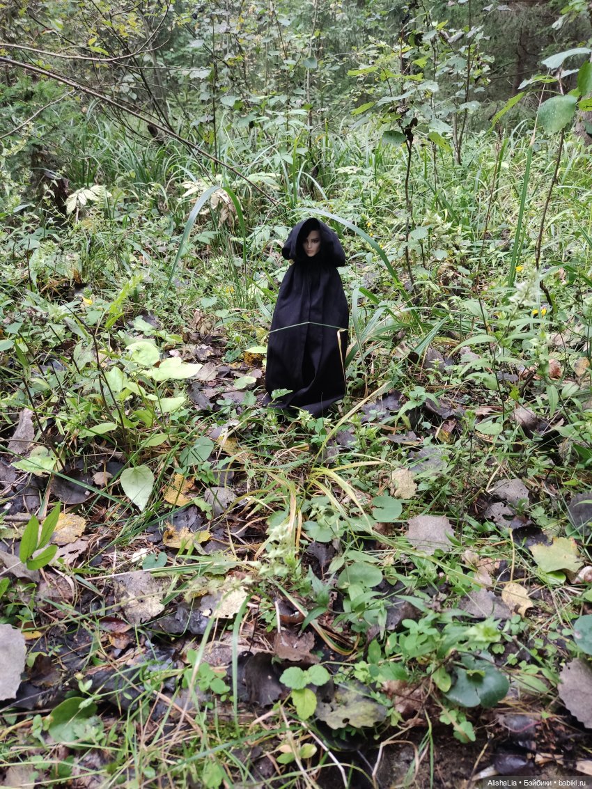 Лекарь. Глава 61. Ведунья