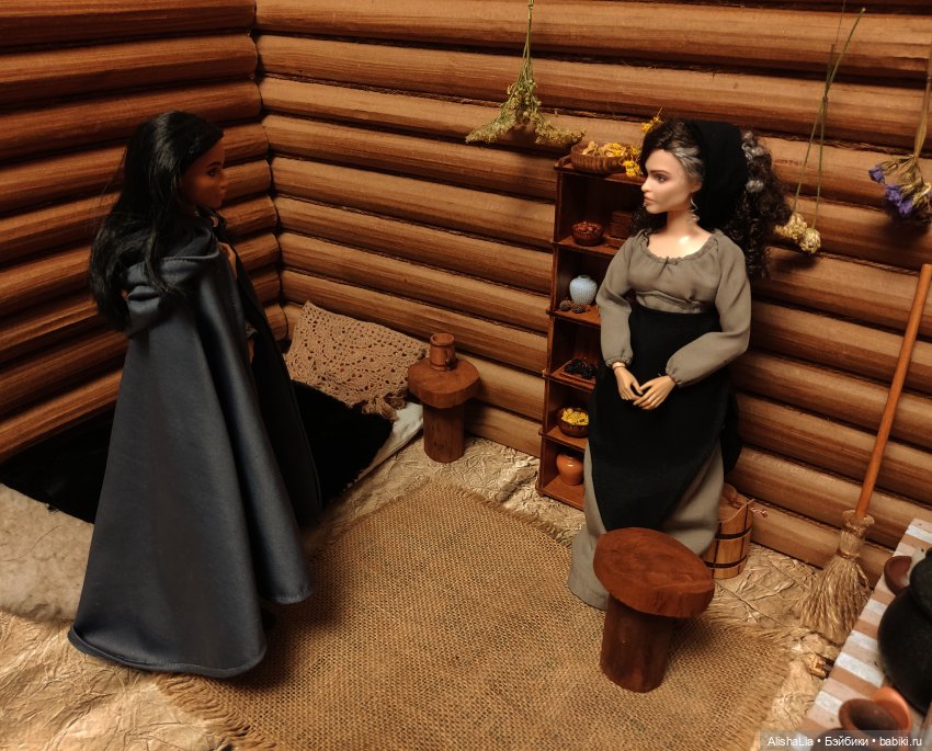 Лекарь. Глава 61. Ведунья