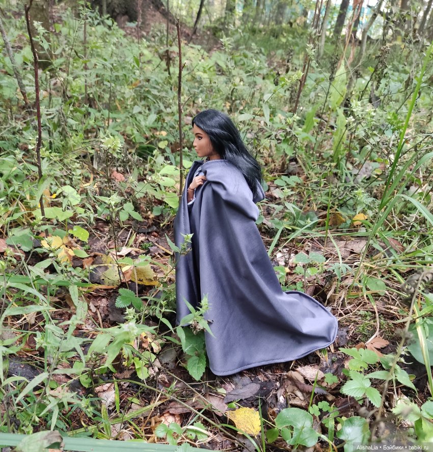 Лекарь. Глава 61. Ведунья