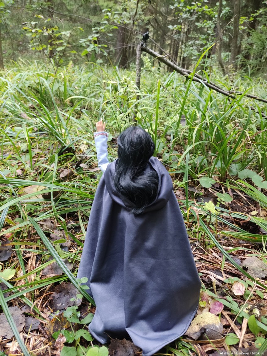 Лекарь. Глава 61. Ведунья