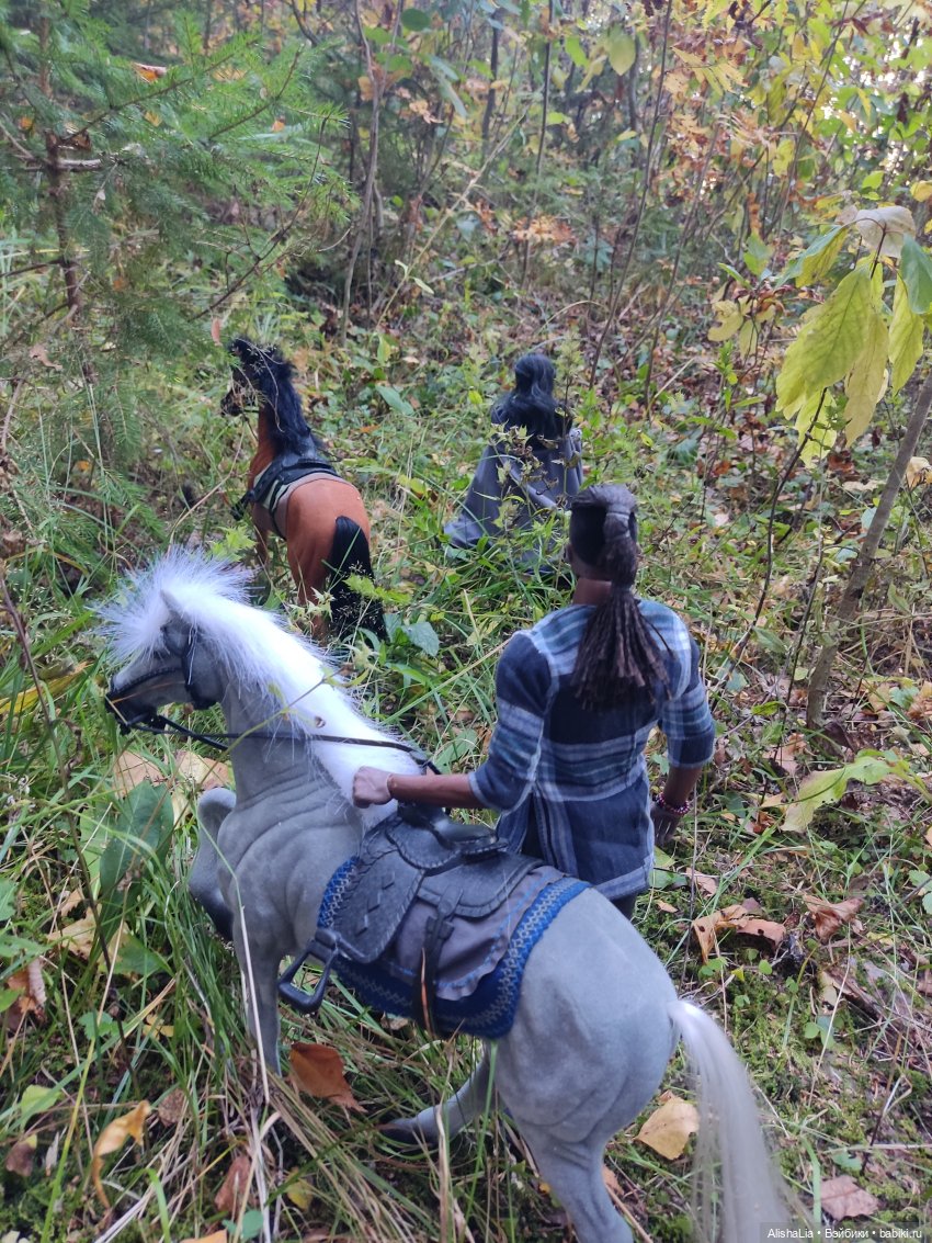 Лекарь. Глава 61. Ведунья