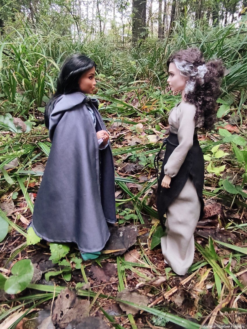 Лекарь. Глава 61. Ведунья