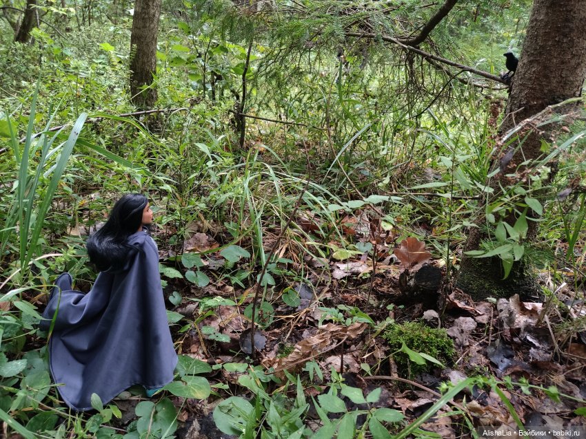 Лекарь. Глава 61. Ведунья