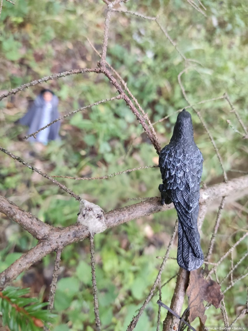 Лекарь. Глава 61. Ведунья