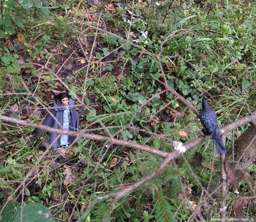 Лекарь. Глава 61. Ведунья