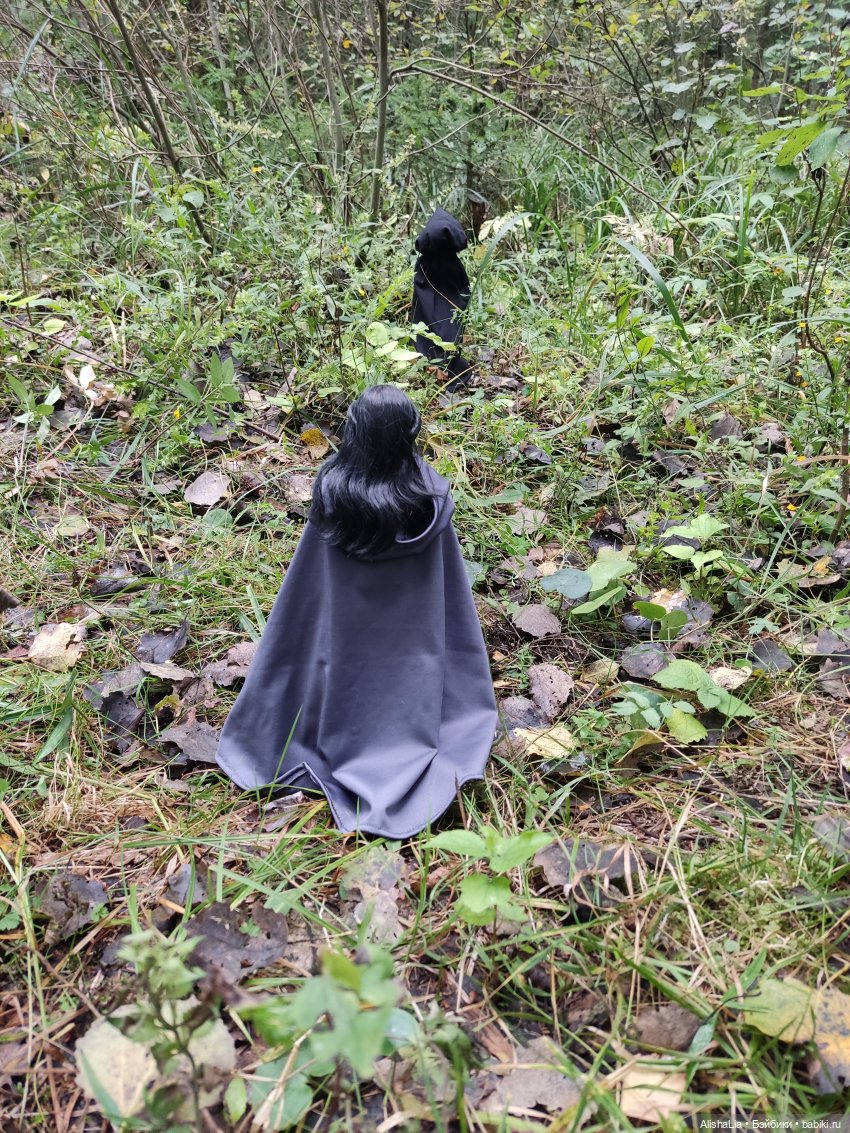 Лекарь. Глава 61. Ведунья