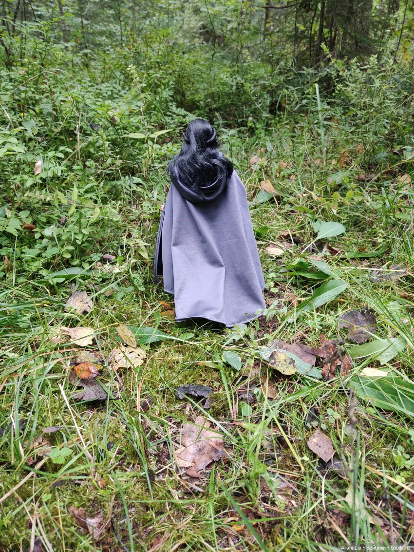 Лекарь. Глава 61. Ведунья