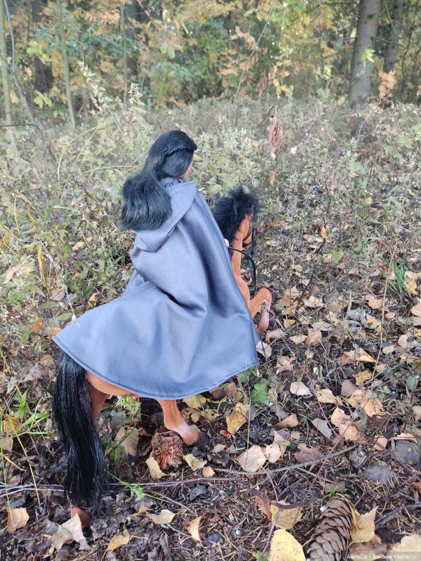 Лекарь. Глава 61. Ведунья