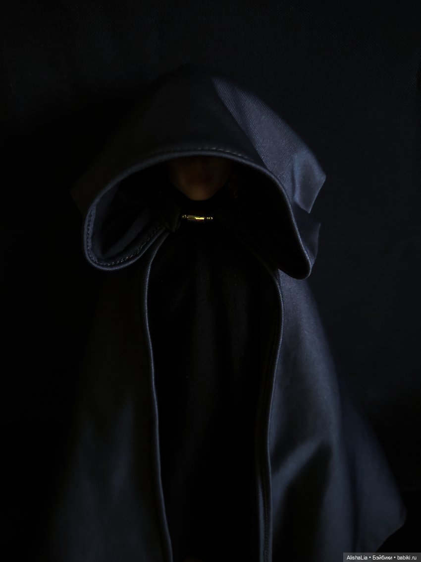 Лекарь. Глава 64. Последняя воля (фото 7)