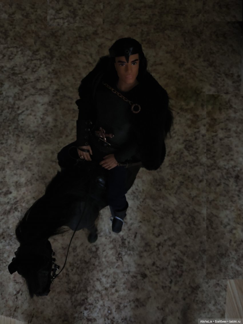 Лекарь. Глава 84. Дальняя дорога