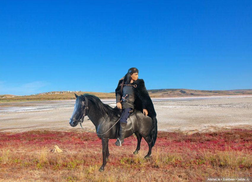 Лекарь. Глава 84. Дальняя дорога