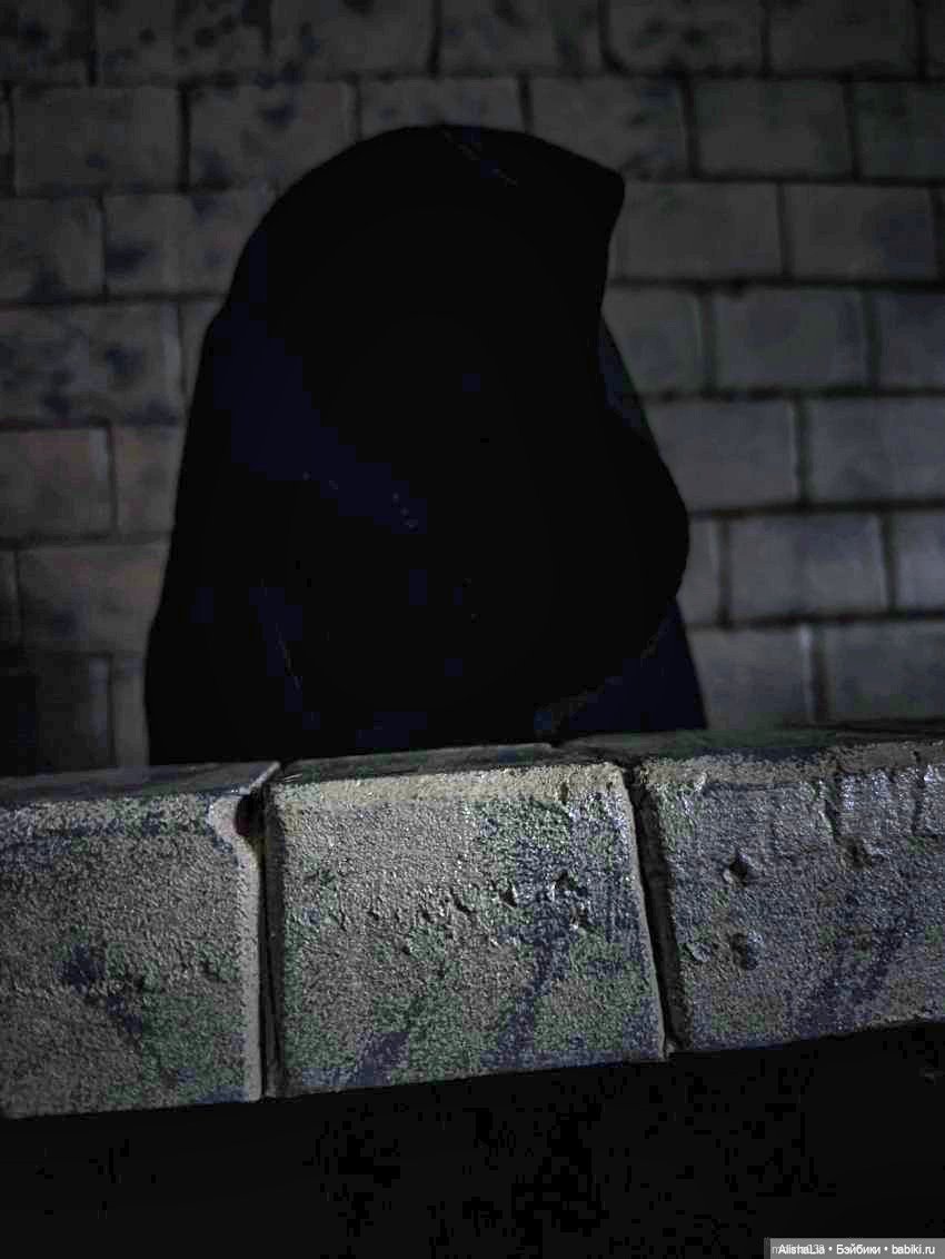 Лекарь. Глава 84. Дальняя дорога