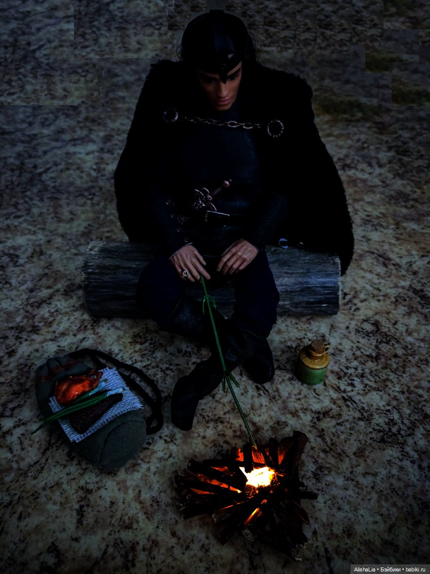 Лекарь. Глава 84. Дальняя дорога