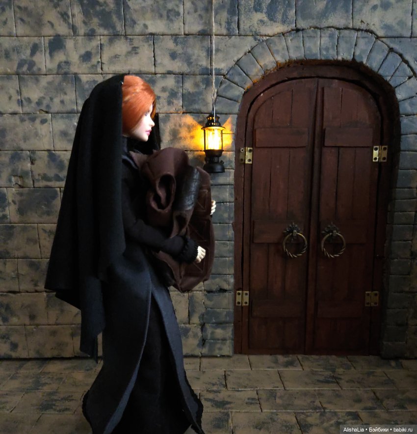 Лекарь. Глава 87. Казус — Кукольные фотоистории и сериалы: комиксы (фото 8)