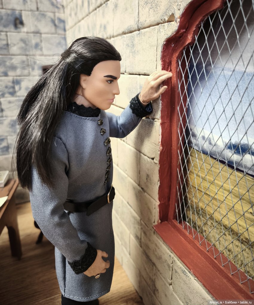 Лекарь. Глава 112. Думы о родине