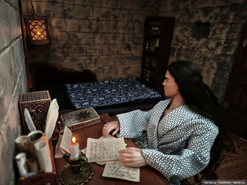 Лекарь. Глава 112. Думы о родине