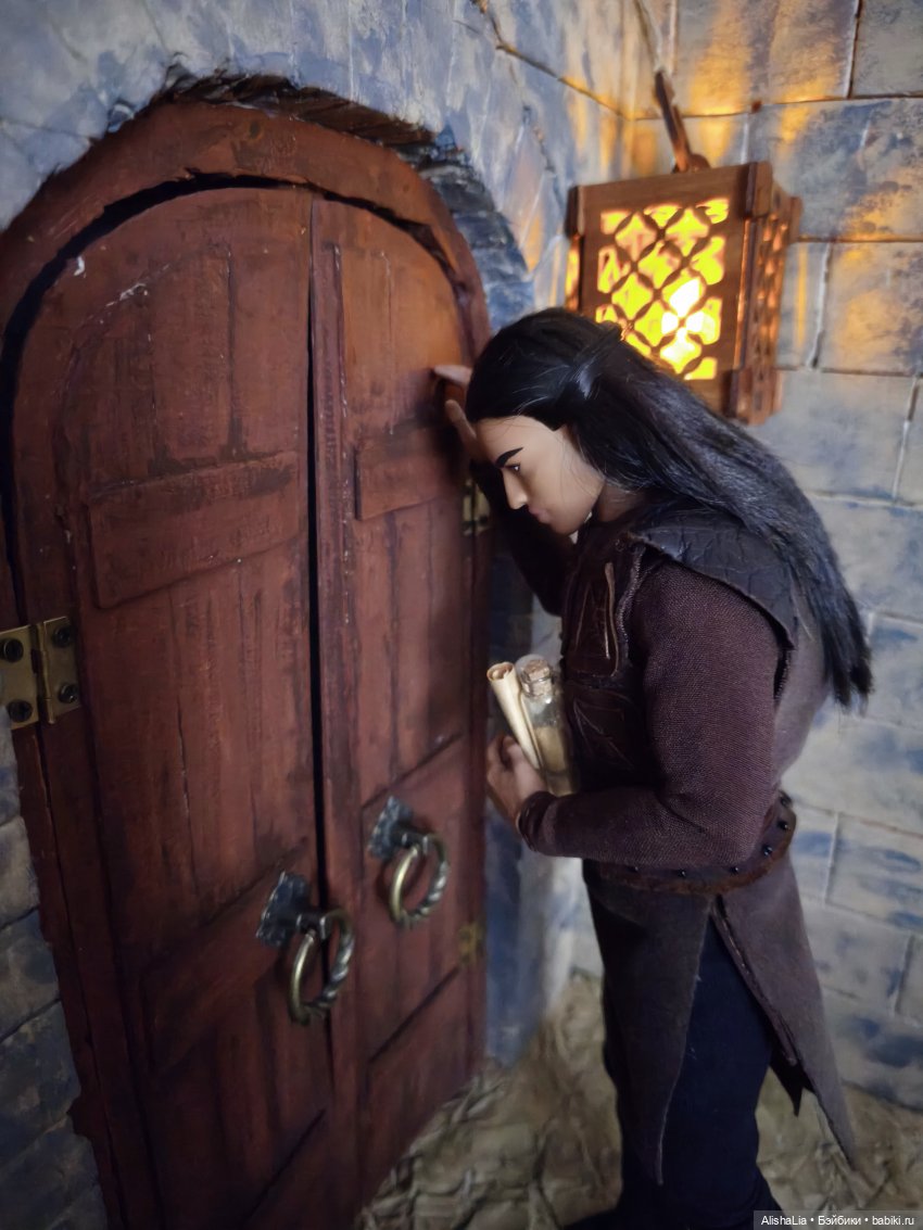 Лекарь. Глава 114. Болезнь (фото 10)