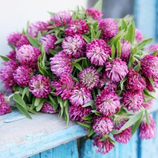 Как началась моя кукольная история.