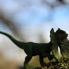 Вы коллекционируете динозавров?