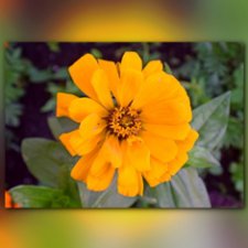 Сопутствующее куклам увлечение. 19.07.2019