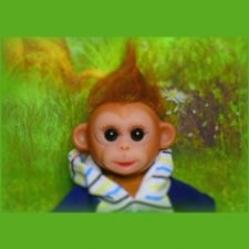 Перепись КуклоНаселения. Обезьянка Гоша