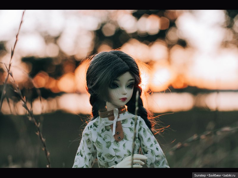 Мири: лето в пансионате Роз (фото 4)