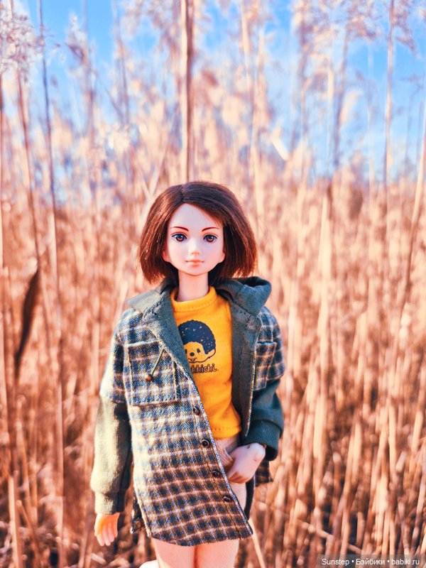 Ален, весенний мальчик — Разные шарнирные куклы (не БЖД): редкие