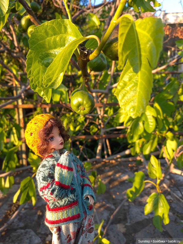 Пенелопа решает путешествовать: поездка два (фото 8)