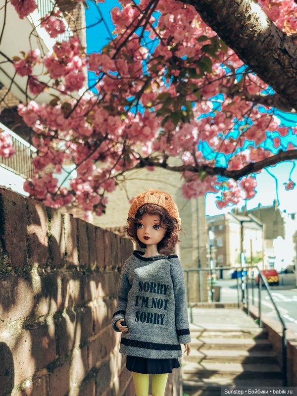 Пенелопа решает путешествовать: поездка три (фото 2)