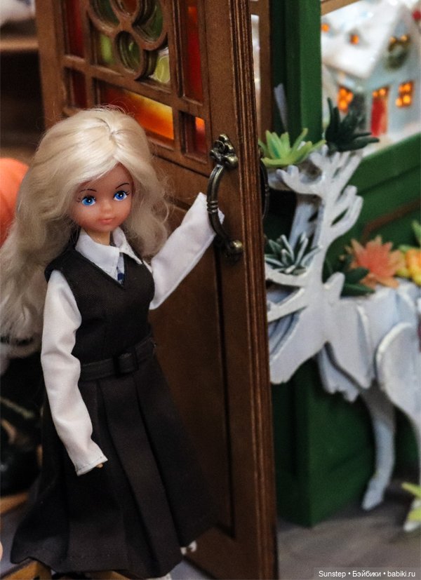 Итоги года-2025 — Итоги года и челленджи: Кукольные планы (фото 6)