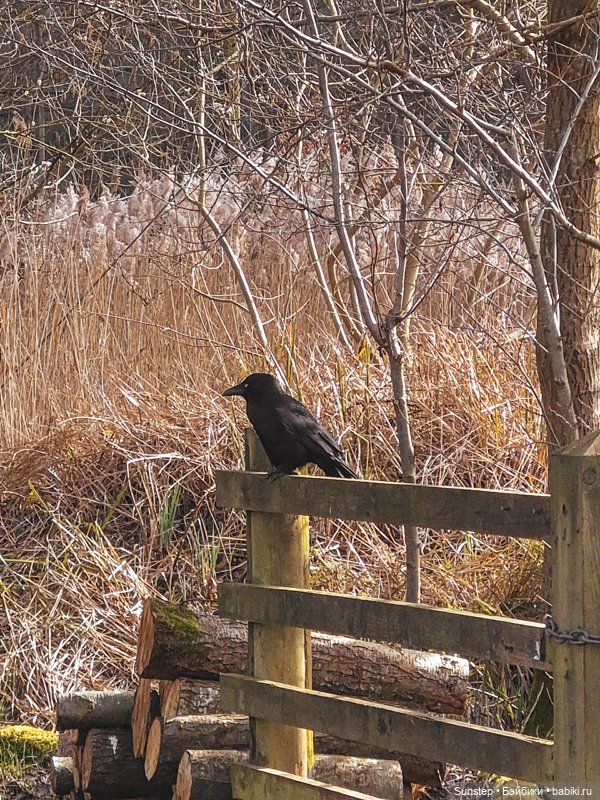 Пенелопа решает путешествовать: поездка четыре (фото 6)