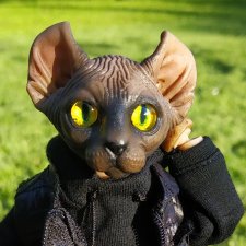 Приехал Пельмень