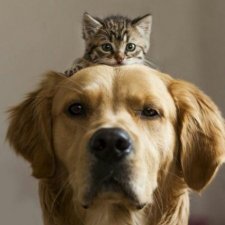 Эпизод. Настроение