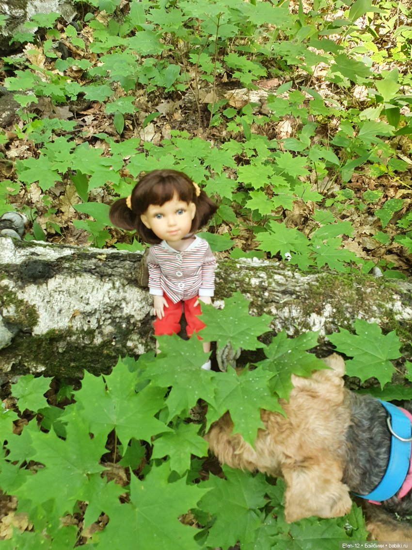 Прогулка по лесу | Бэйбики Прогулка по лесу — Куклы Ruby Red (Руби Ред) Fashion Friends: Siblies (фото 4)