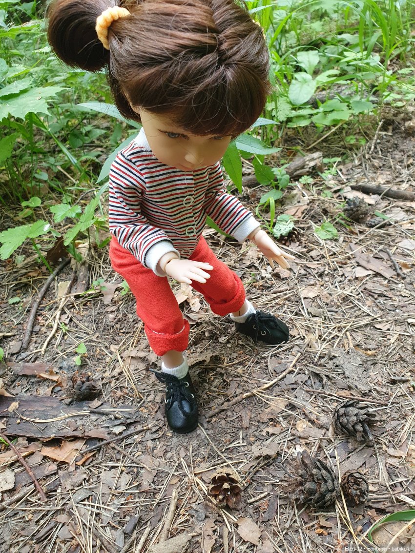 сколько шишек! сколько шишек!