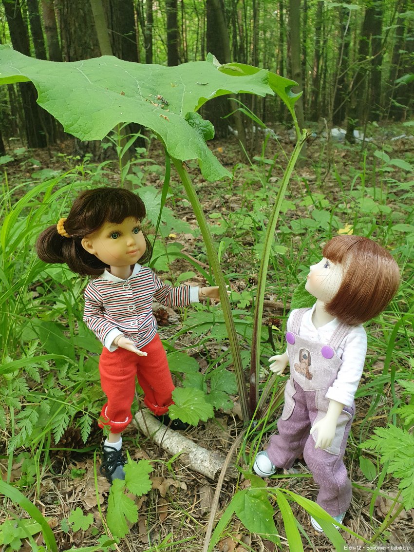 Прогулка по лесу | Бэйбики Прогулка по лесу — Куклы Ruby Red (Руби Ред) Fashion Friends: Siblies