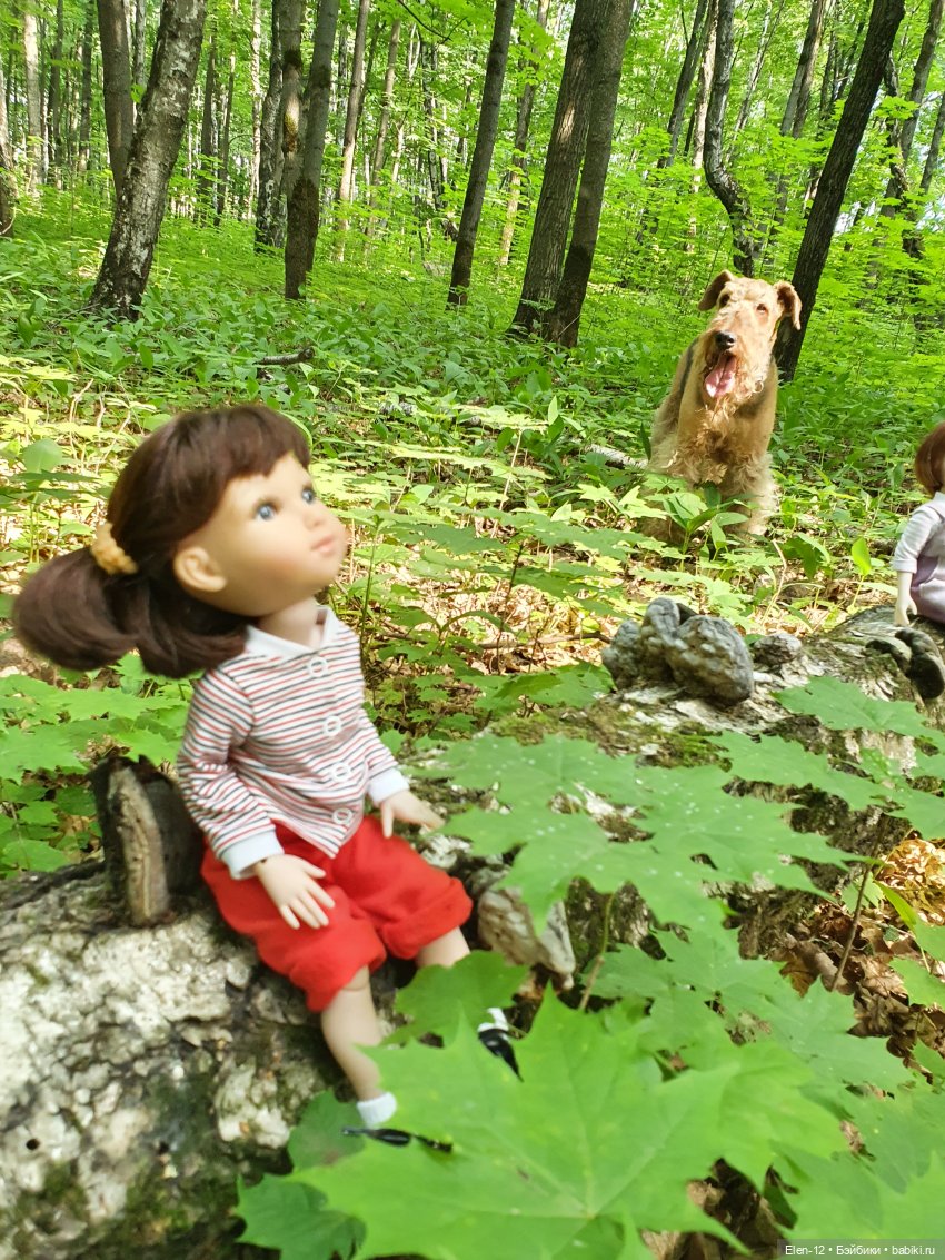 Прогулка по лесу | Бэйбики Прогулка по лесу — Куклы Ruby Red (Руби Ред) Fashion Friends: Siblies (фото 5)