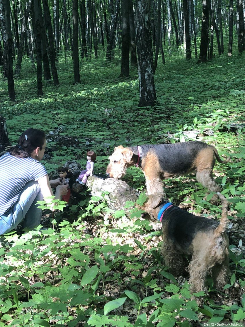 посиди спокойно, я сфотографирую вас посиди спокойно, я сфотографирую вас