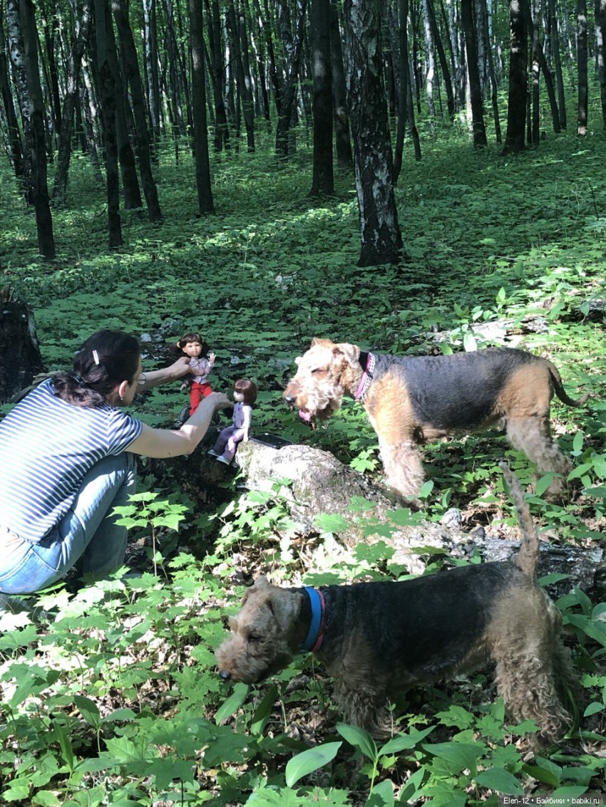 Прогулка по лесу | Бэйбики Прогулка по лесу — Куклы Ruby Red (Руби Ред) Fashion Friends: Siblies