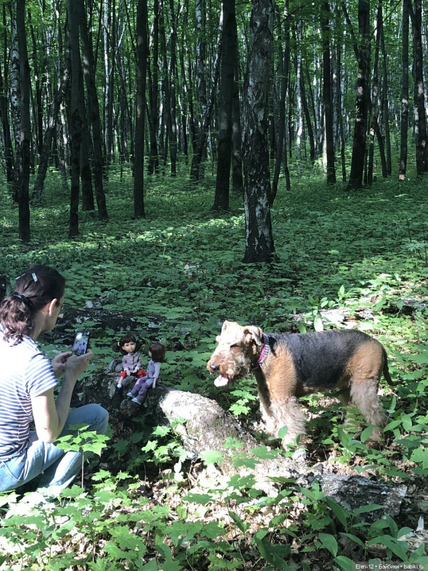 рыжая помощница рыжая помощница