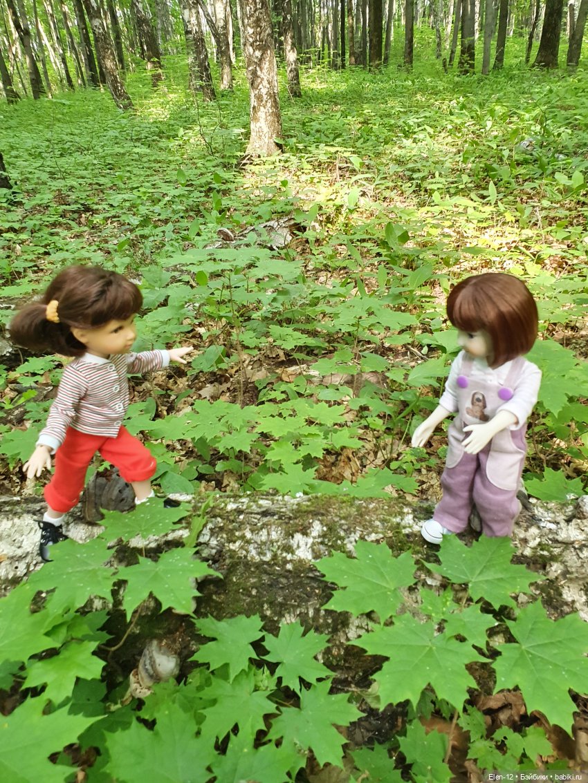 Прогулка по лесу | Бэйбики Прогулка по лесу — Куклы Ruby Red (Руби Ред) Fashion Friends: Siblies (фото 7)