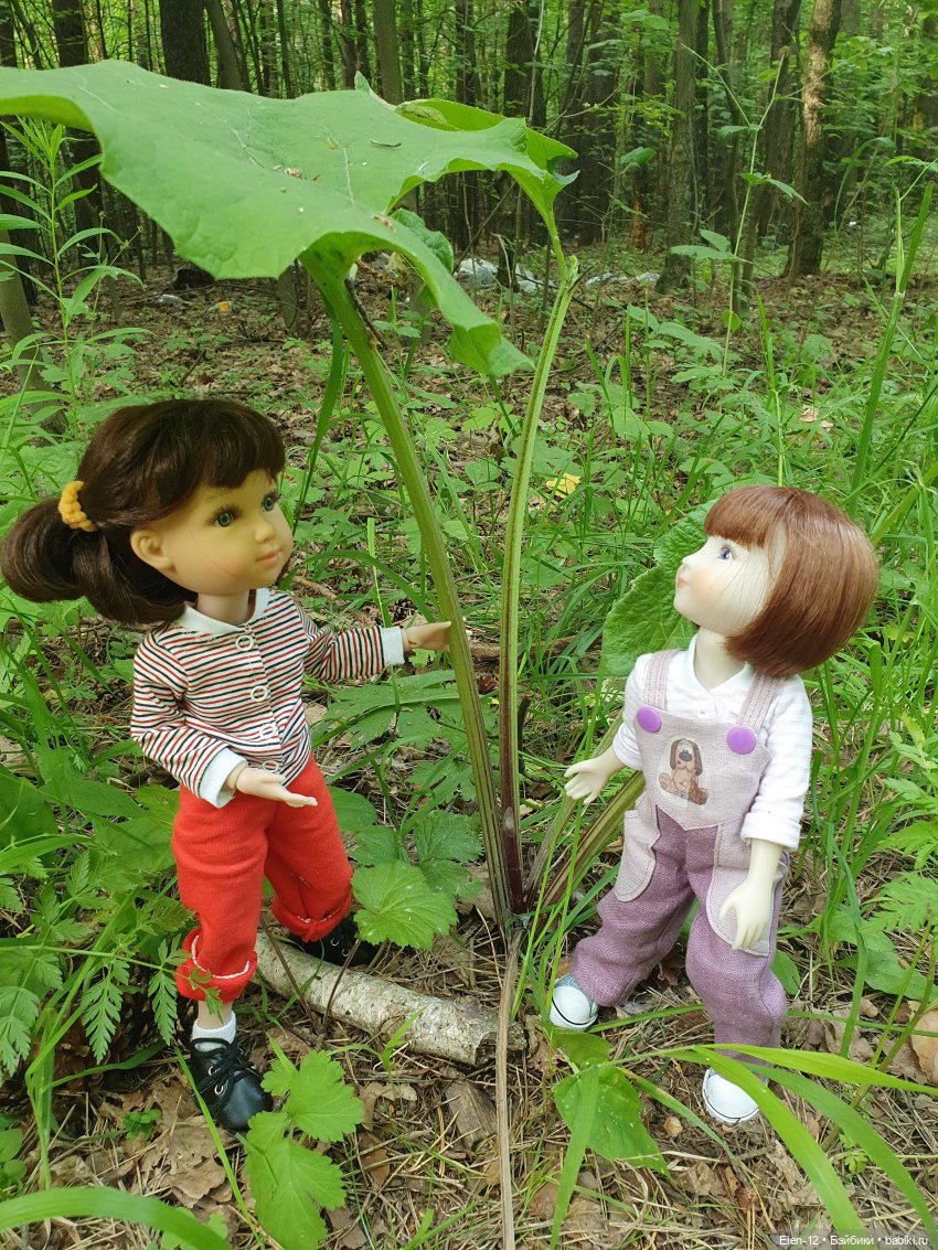 Прогулка по лесу | Бэйбики Прогулка по лесу — Куклы Ruby Red (Руби Ред) Fashion Friends: Siblies