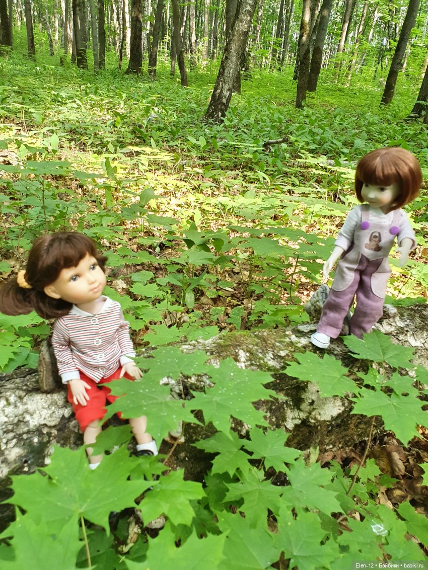 Прогулка по лесу | Бэйбики Прогулка по лесу — Куклы Ruby Red (Руби Ред) Fashion Friends: Siblies (фото 6)