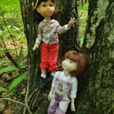 Прогулка по лесу