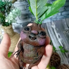 Малышка Мандрагора